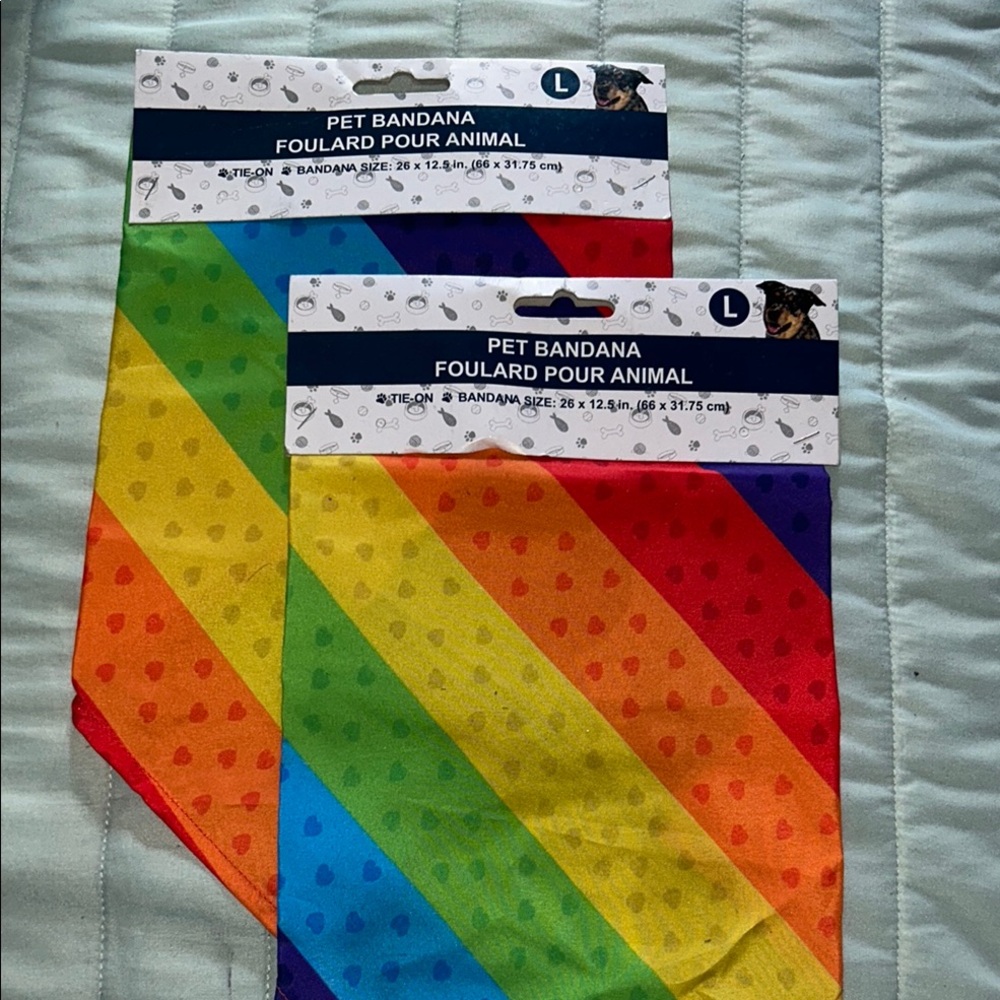 PET bandana large size